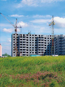 ���� ����� ��� �������